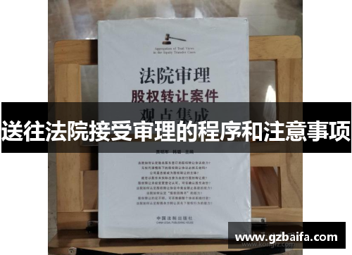 送往法院接受审理的程序和注意事项