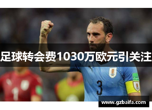 足球转会费1030万欧元引关注